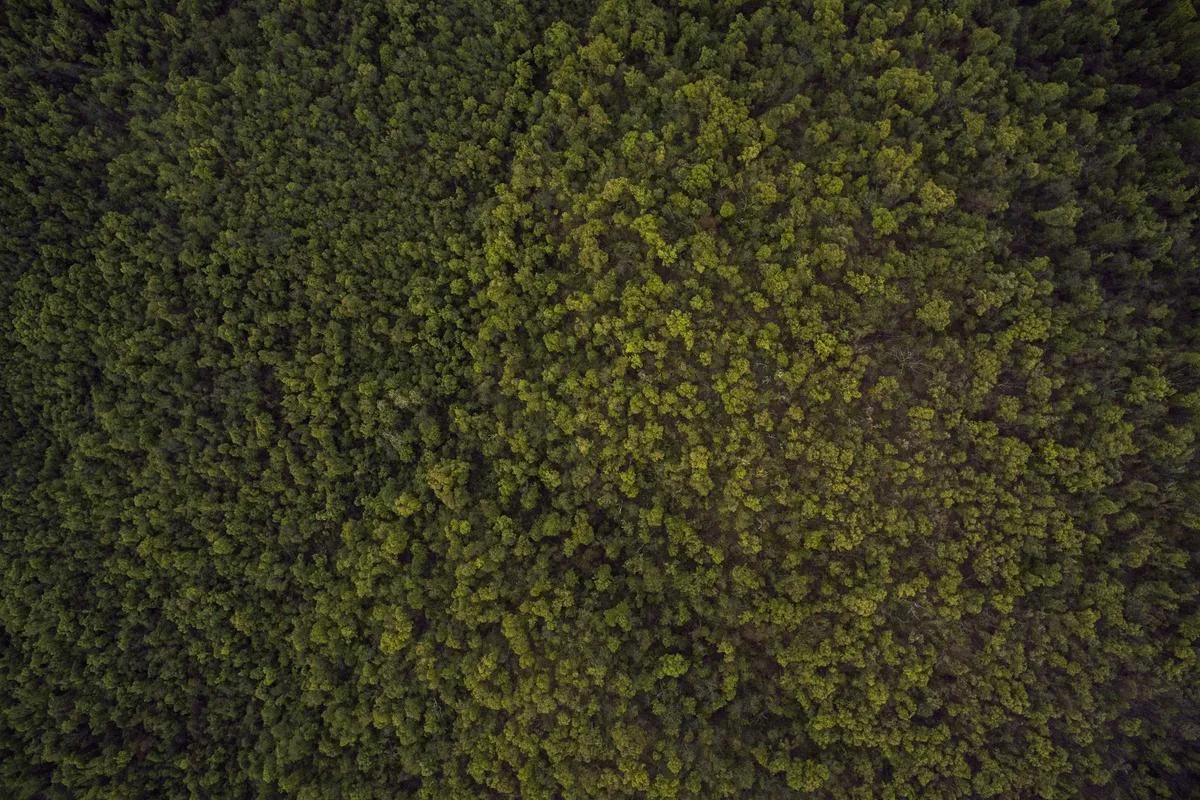 Doğa fotoğrafçıları gün batımını yakalamak için saatlerce bekledi.